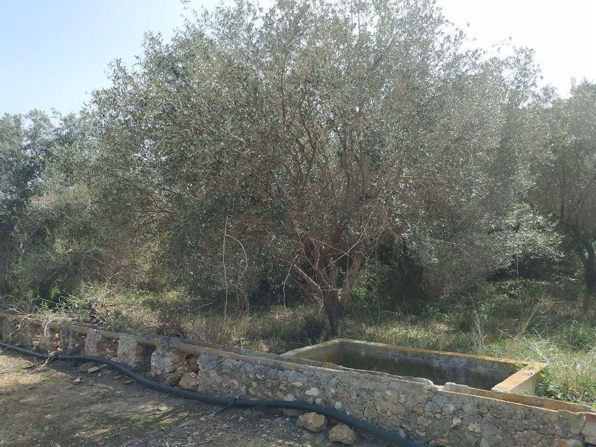 Finca rústica en venta en Valletes - Xiribecs