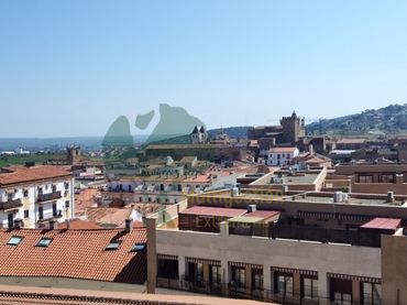 Appartamento con ascensore in vendita a Casco Antiguo