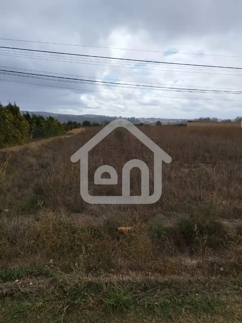 Rural land for sale in Calle Torrecilla 2, imagen 9