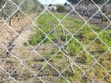 Terreny rústic en venda a Alguazas, imagen 5