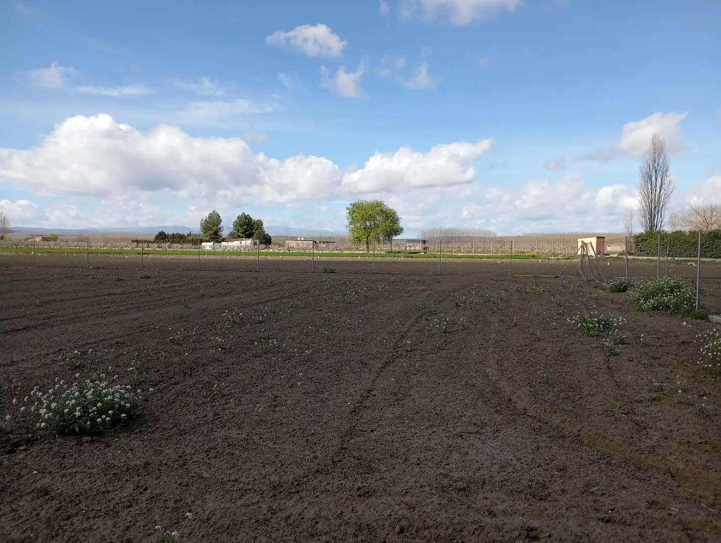 Terrains et parcelles à vendre à Calle los Cortijos 13, imagen 5