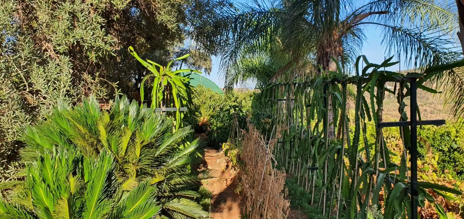 Jardí de Casa o xalet en venda en Guaro amb Aire condicionat, Jardí privat i Moblat