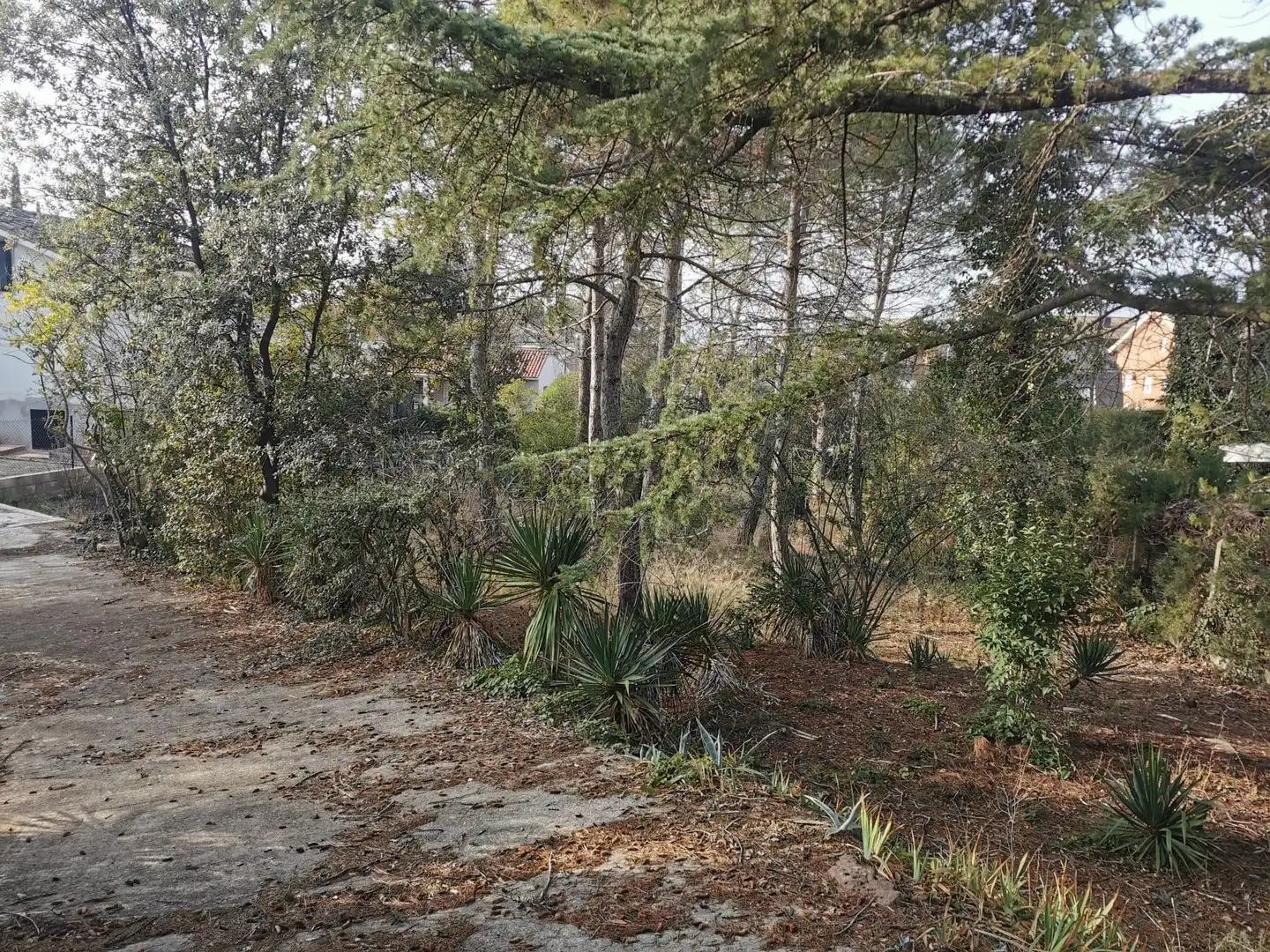 Terreny residencial en venda a Avenida Avinguda dels Pirineus, imagen 2