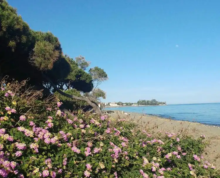Jardí de Casa adosada de lloguer en Estepona amb Aire condicionat, Terrassa i Moblat
