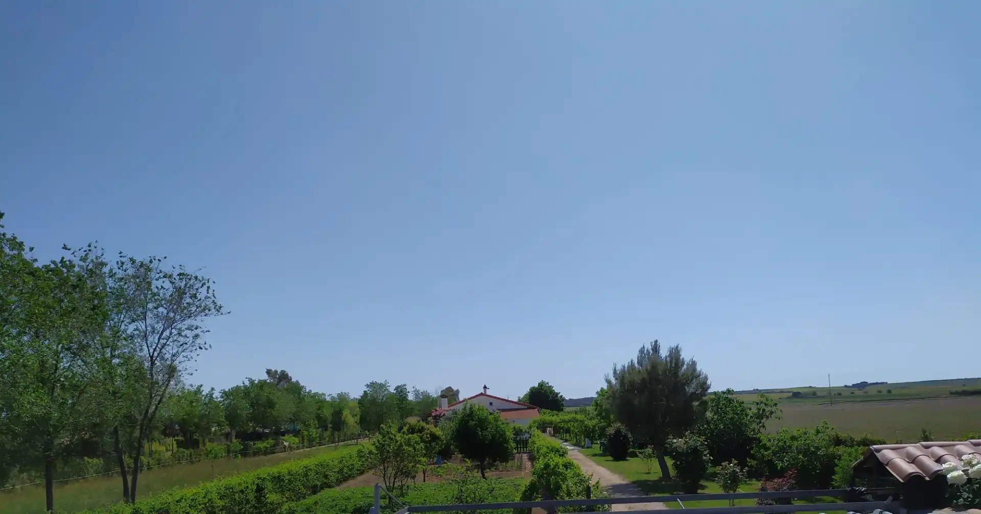 Xalet amb piscina en venda a Fuente El Saz de Jarama, imagen 50
