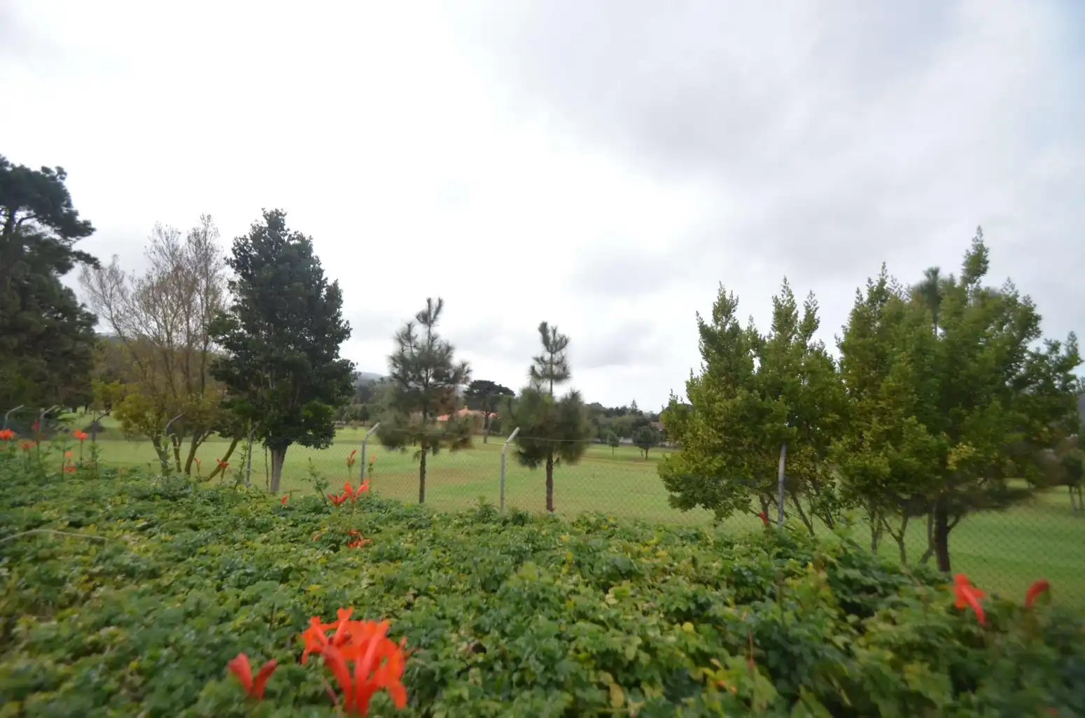 Casa o chalet en venta en Tacoronte - Calle Las Llaves, Tacoronte - Los Naranjeros