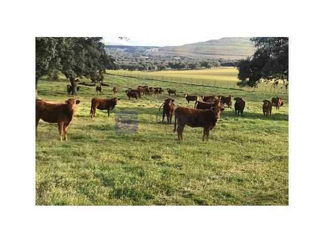 Casa-chalet en Venta en Travesia Ronda De La Piedad Segund en Trujillo