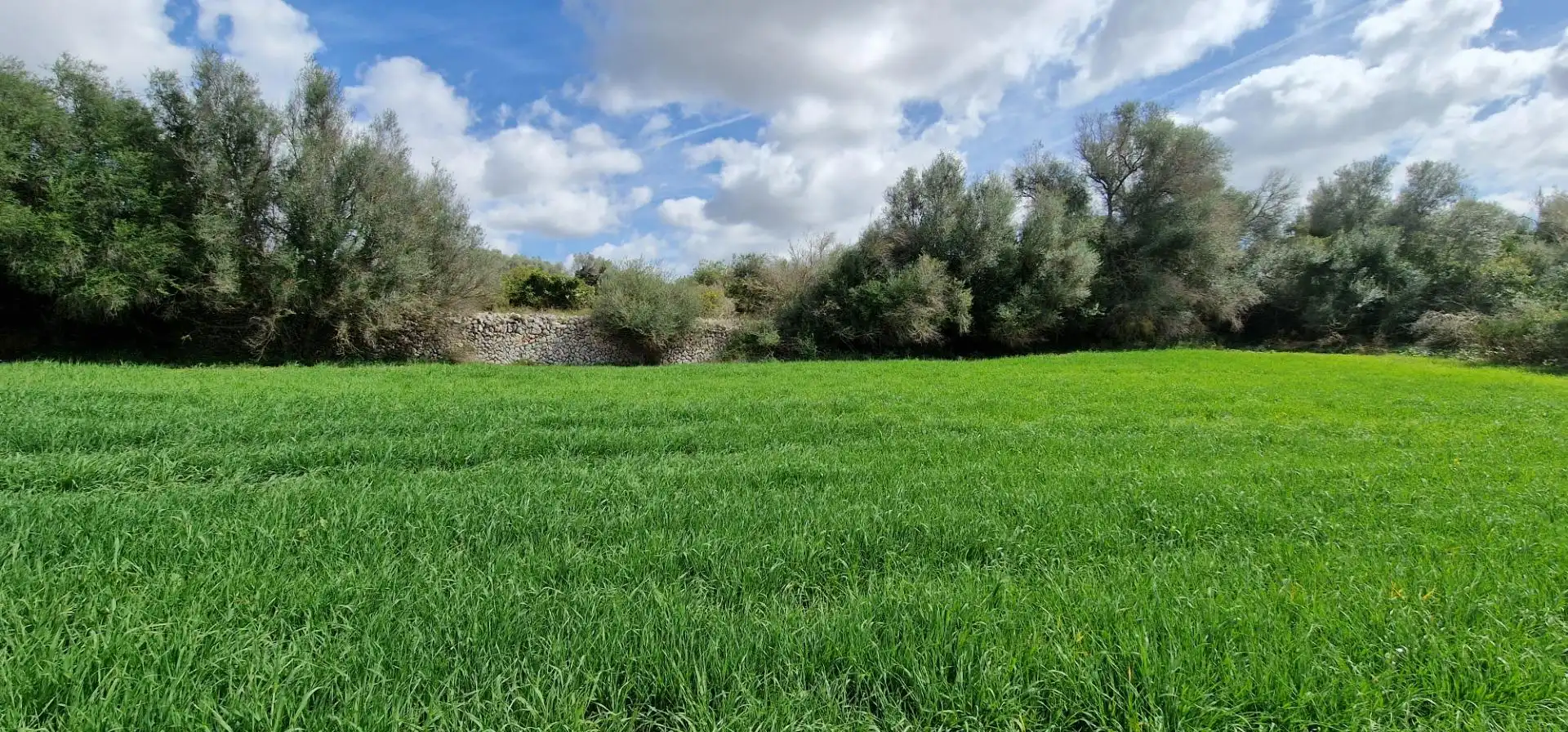 Country homes for sale in Manacor