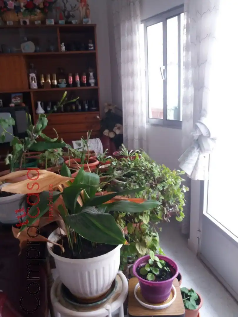 Comedor de Finca rústica en venta en Carbonero el Mayor con Calefacción, Terraza y Trastero