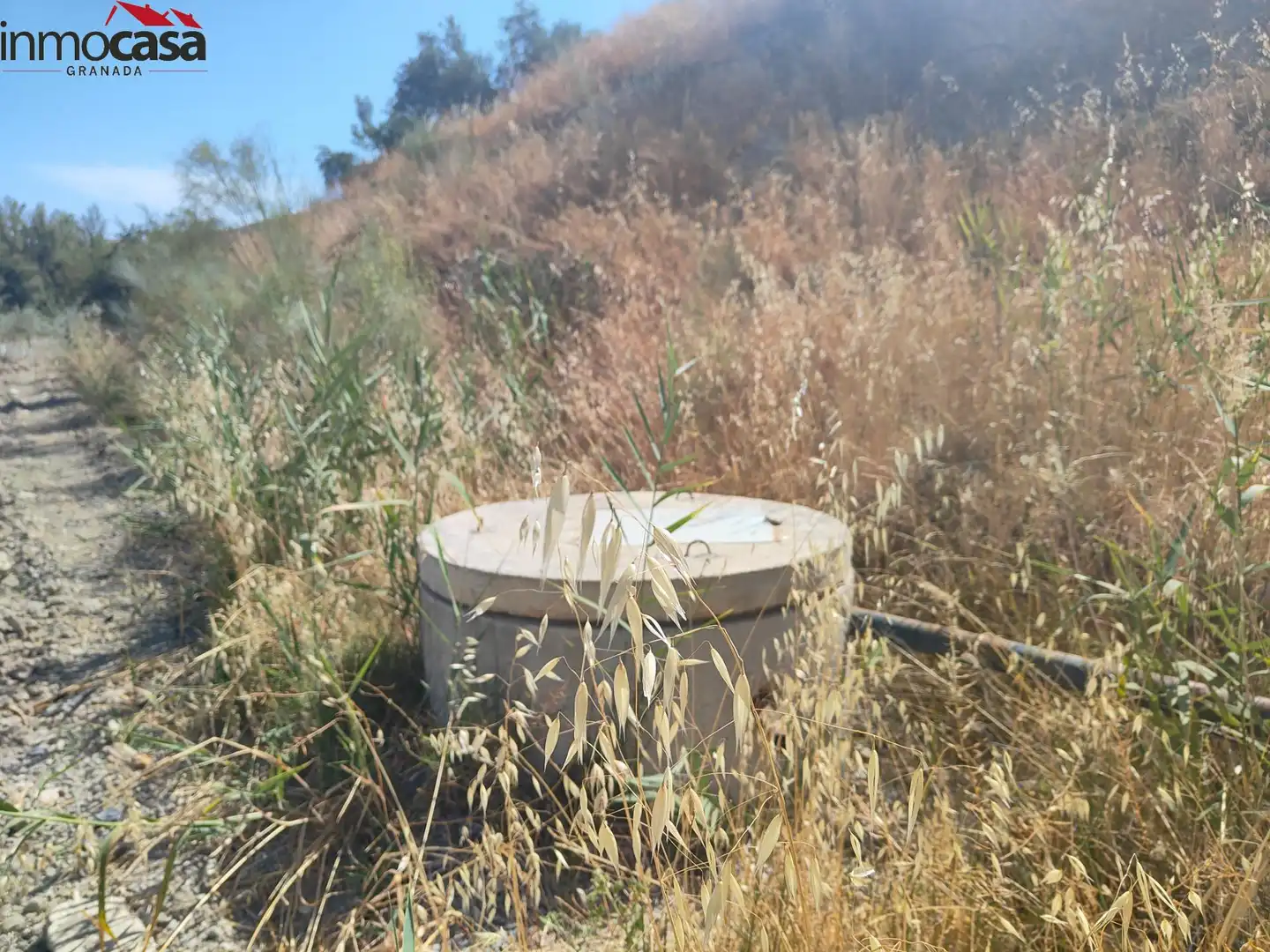 Rural land for sale in Santa Cruz del Comercio, imagen 9