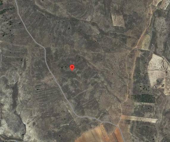 Terreno en Venta en N/A en Palomera