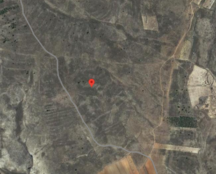 Land for sale in Palomera