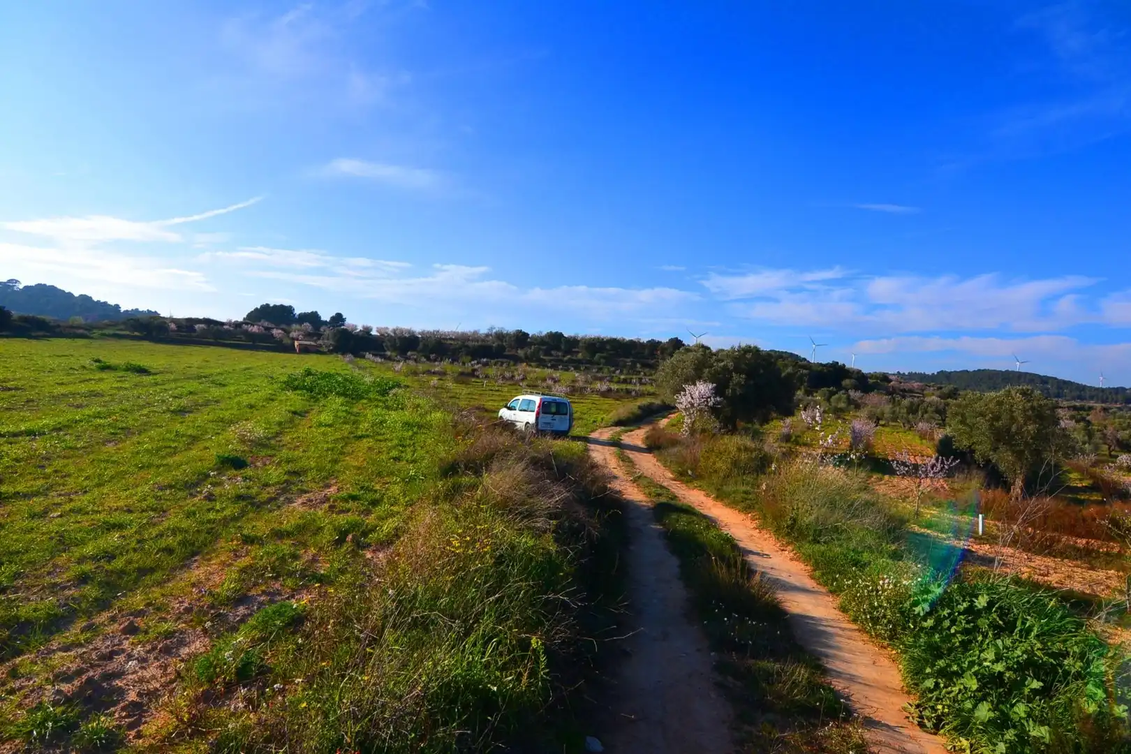Rural land for sale in Gandesa, imagen 8