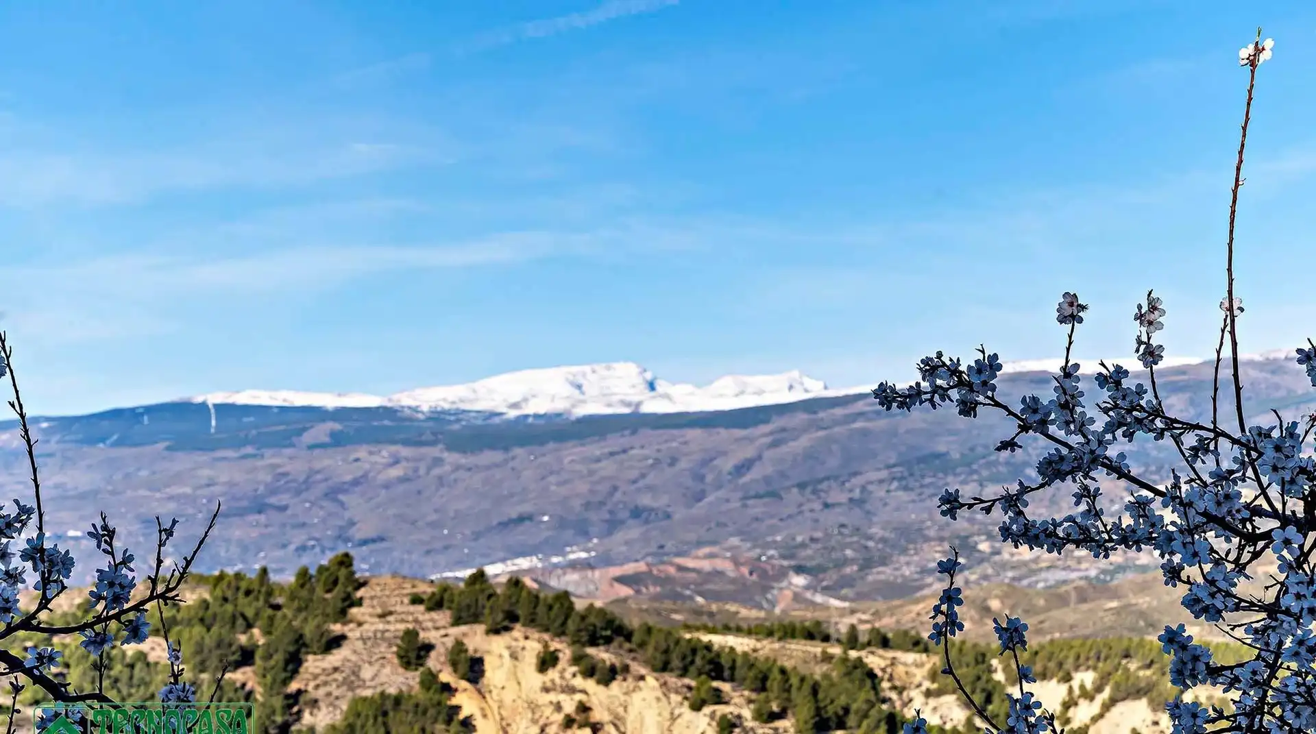 Vista exterior de Piso en venta en Alcolea con Aire acondicionado, Terraza y Piscina comunitaria