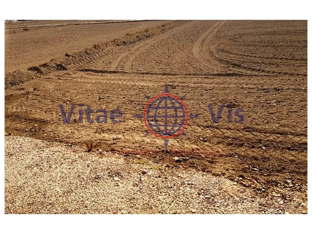 Residential land for sale in Diseminados Cazalla