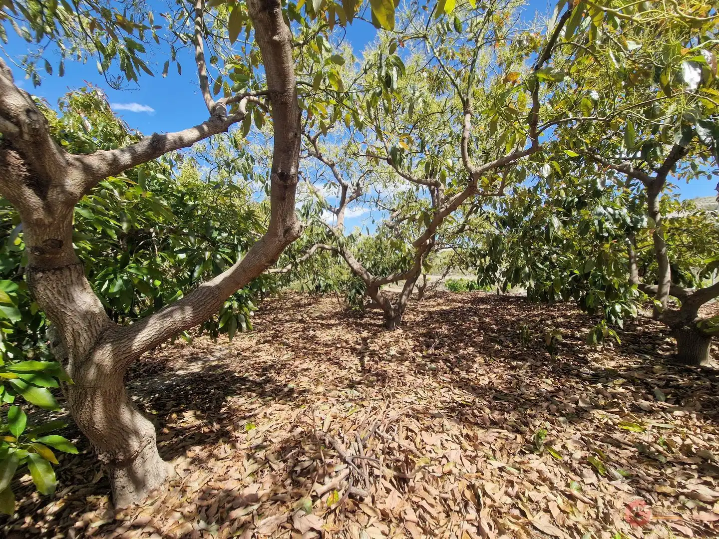Casa rústica en venda a Molvízar, imagen 9