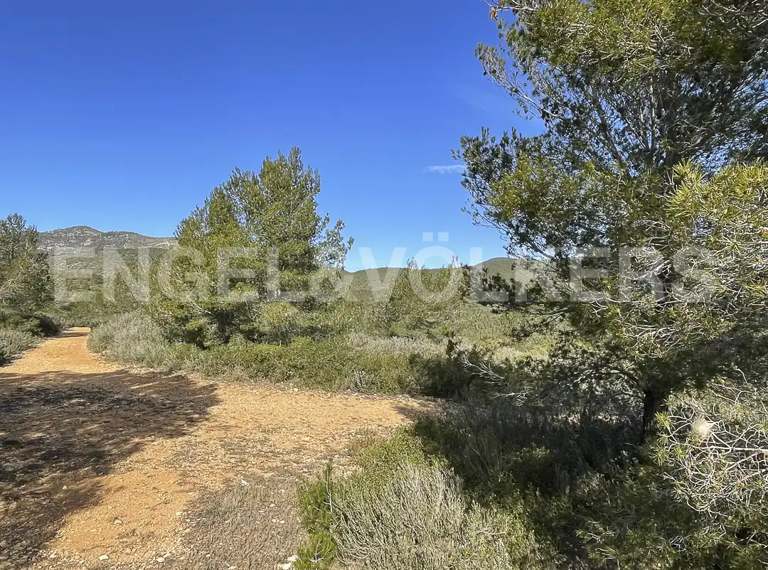 Country homes for sale in El Montmell  with Heating