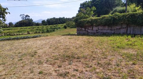 SE VENDE TERRENO EDIFICABLE EN TOMIÑO, immagine 3