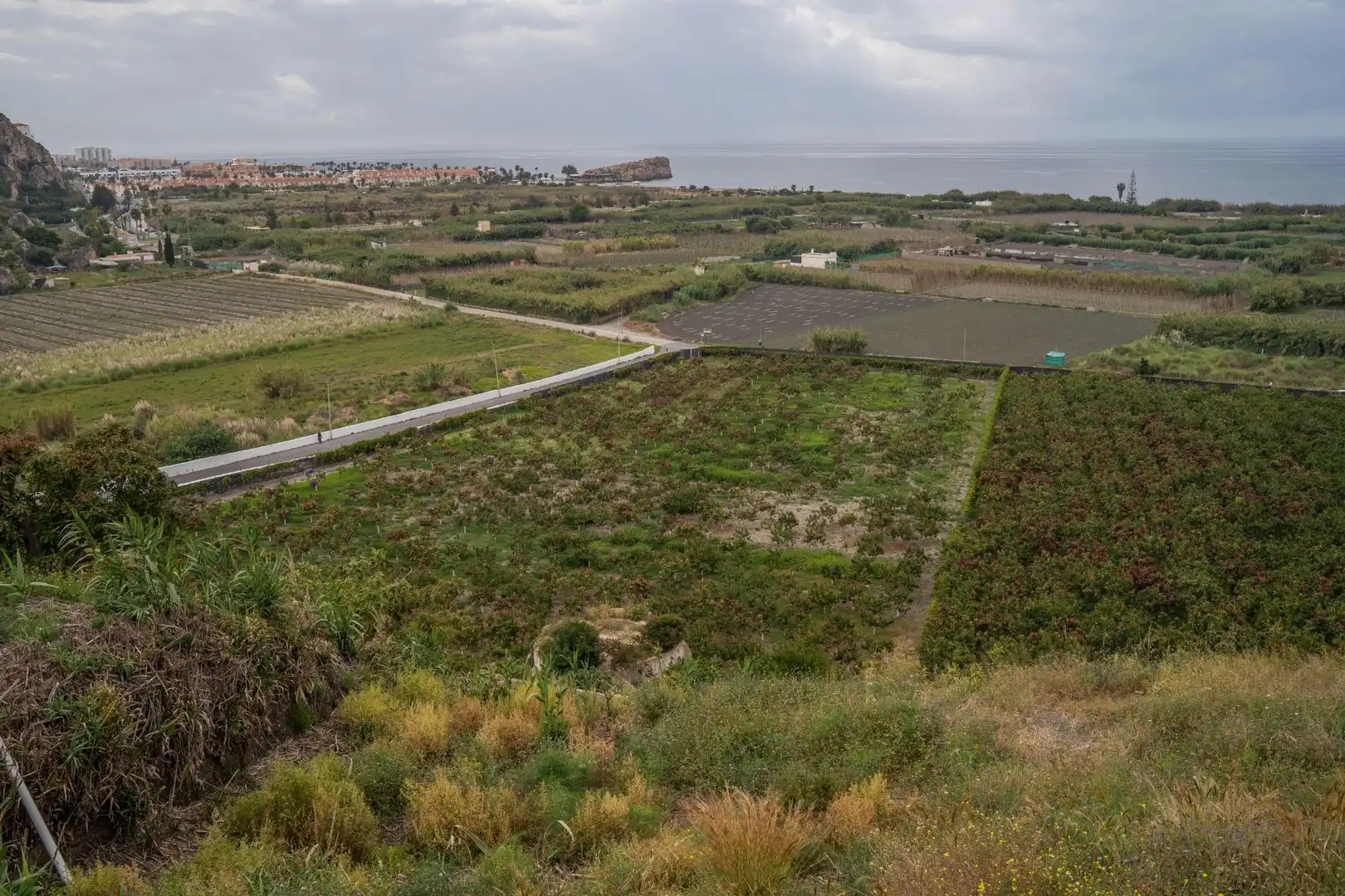 Terreni e lotti in vendita a CARRETERA MALAGA (CAL) 74