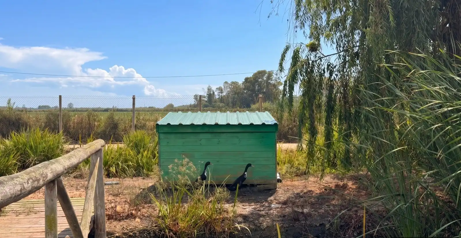 Vista exterior de Casa o xalet en venda en Valletes - Xiribecs