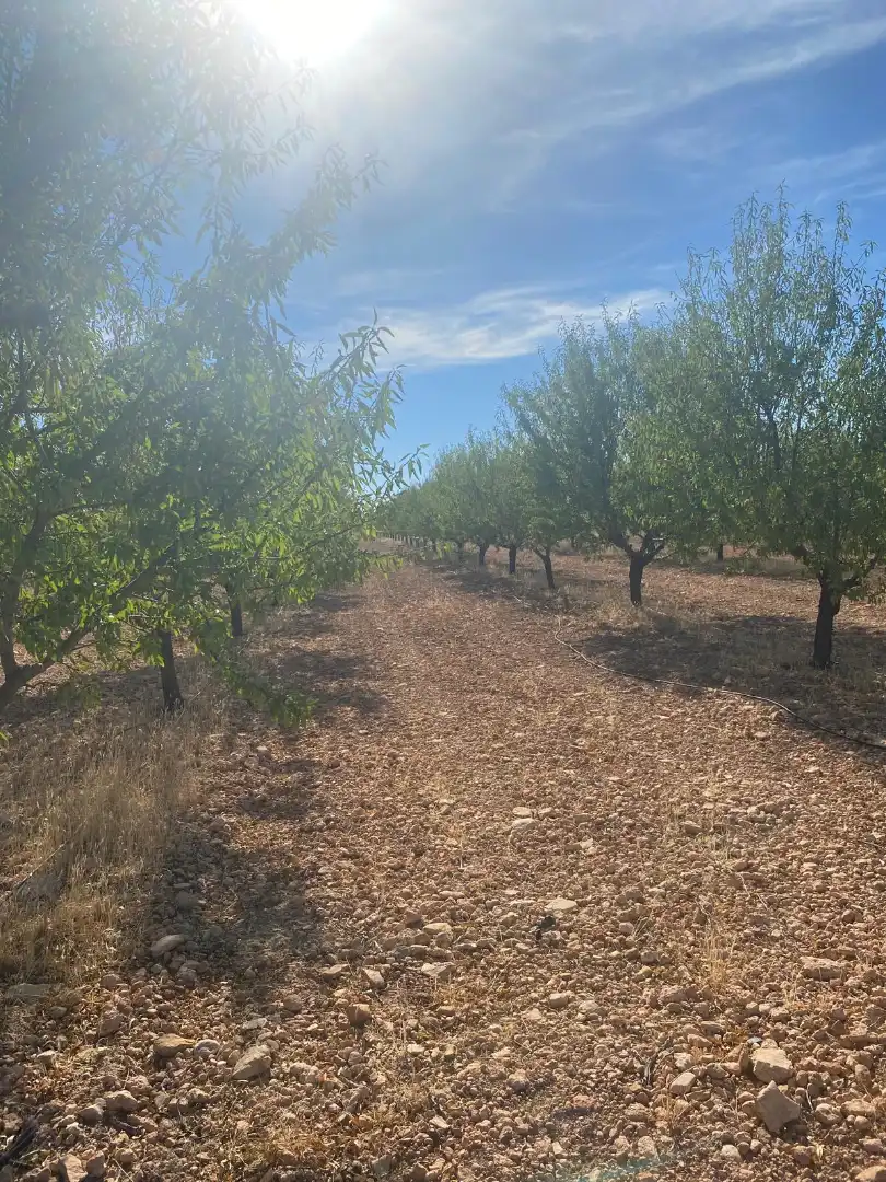 Terreno rustico in vendita a Calle García Pavón, imagen 34
