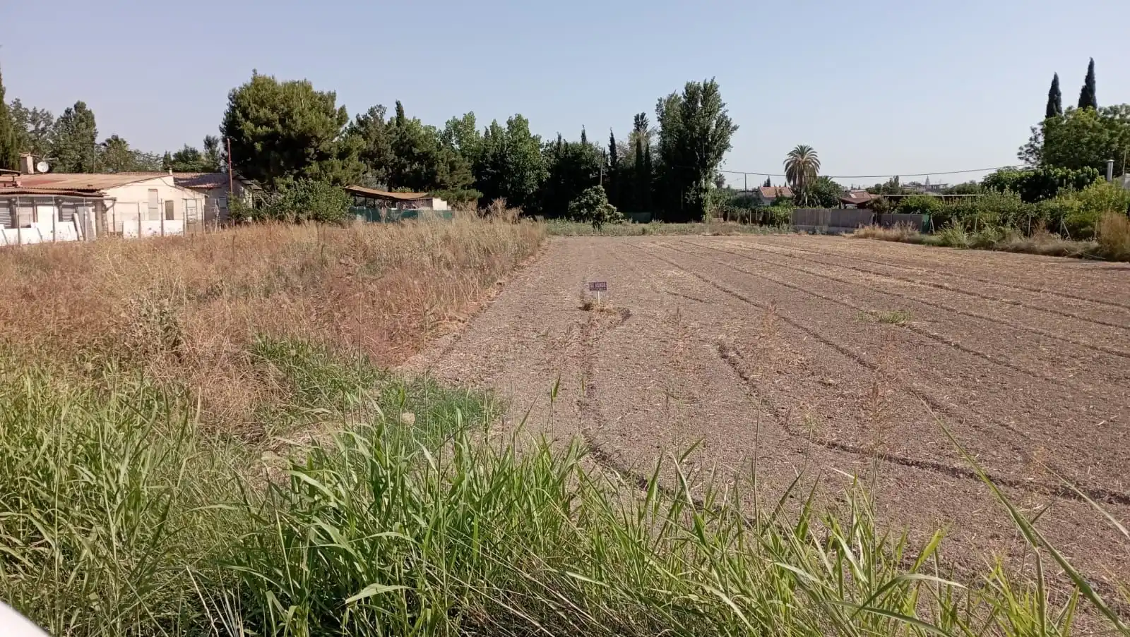 Terreny rústic en venda a Carril Ermita Los Alburquerques 42, imagen 5