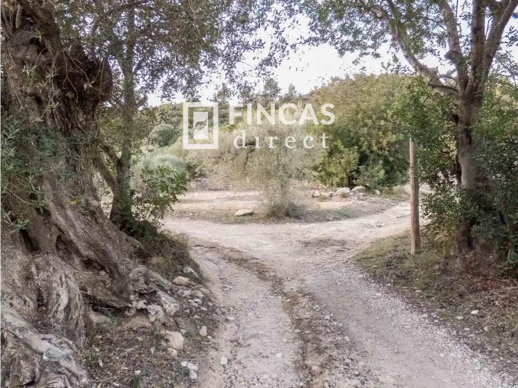 Vista exterior de Finca rústica en venta en Benifallet con Trastero