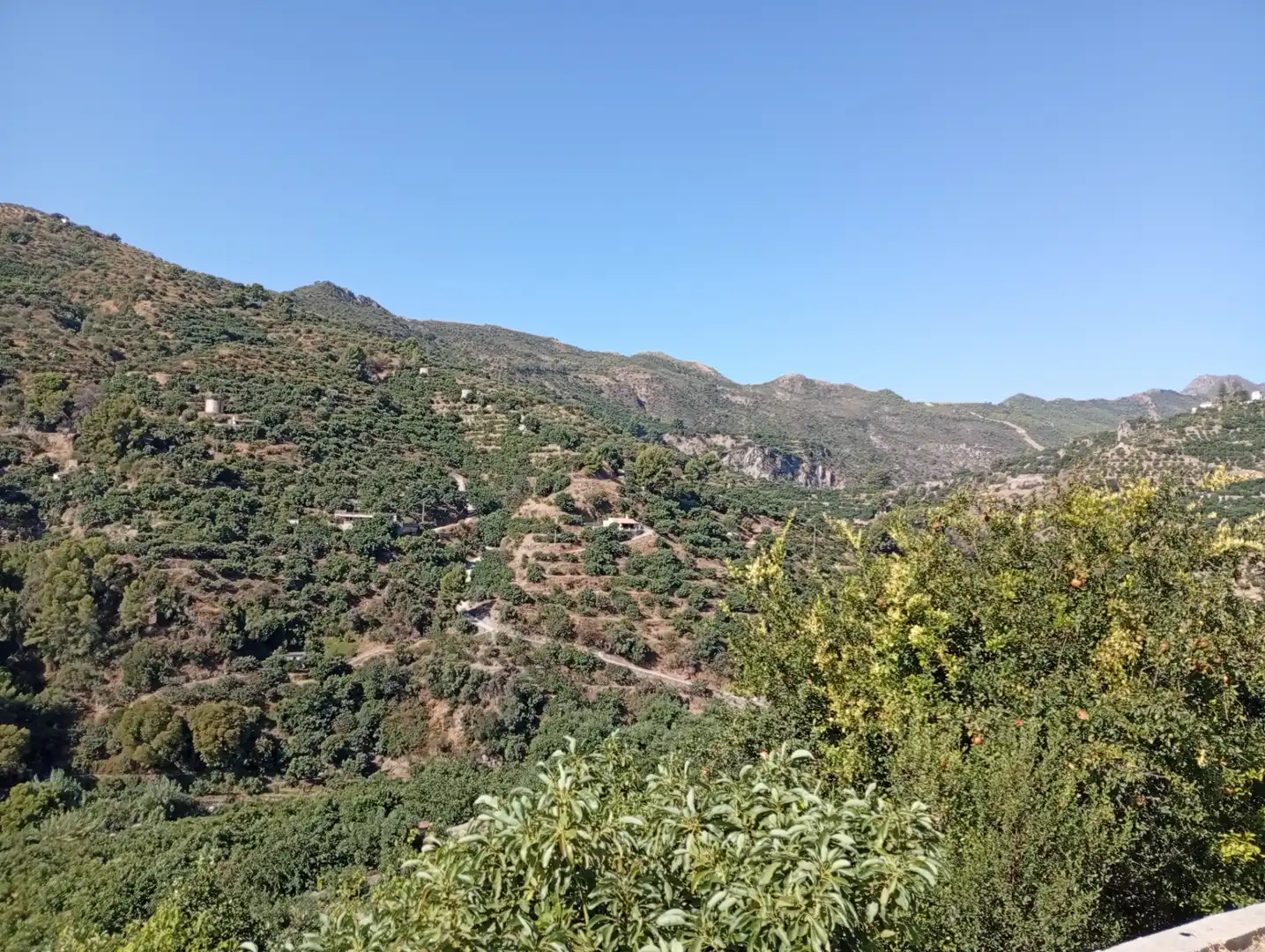 Vista exterior de Finca rústica en venta en Jete con Terraza, Piscina y Amueblado