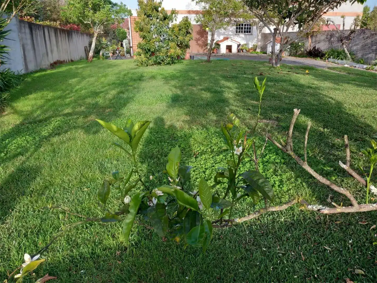 Piso en venta en Nigrán con Balcón