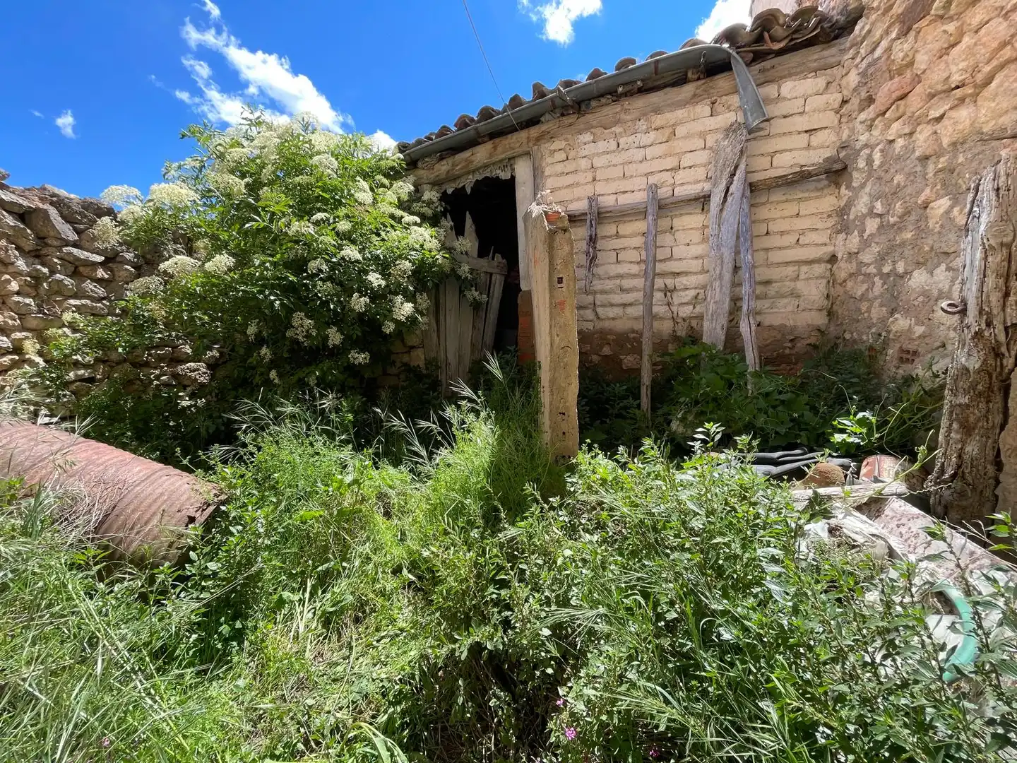 Vista exterior de Finca rústica en venda en Espinosa de Cerrato amb Jardí privat