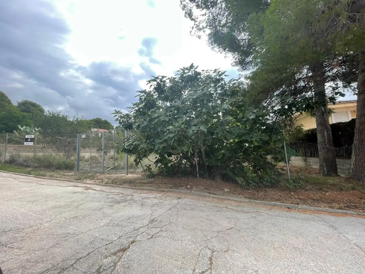Residential land for sale in NUMERO 12 SAN GERARDO, imagen 7