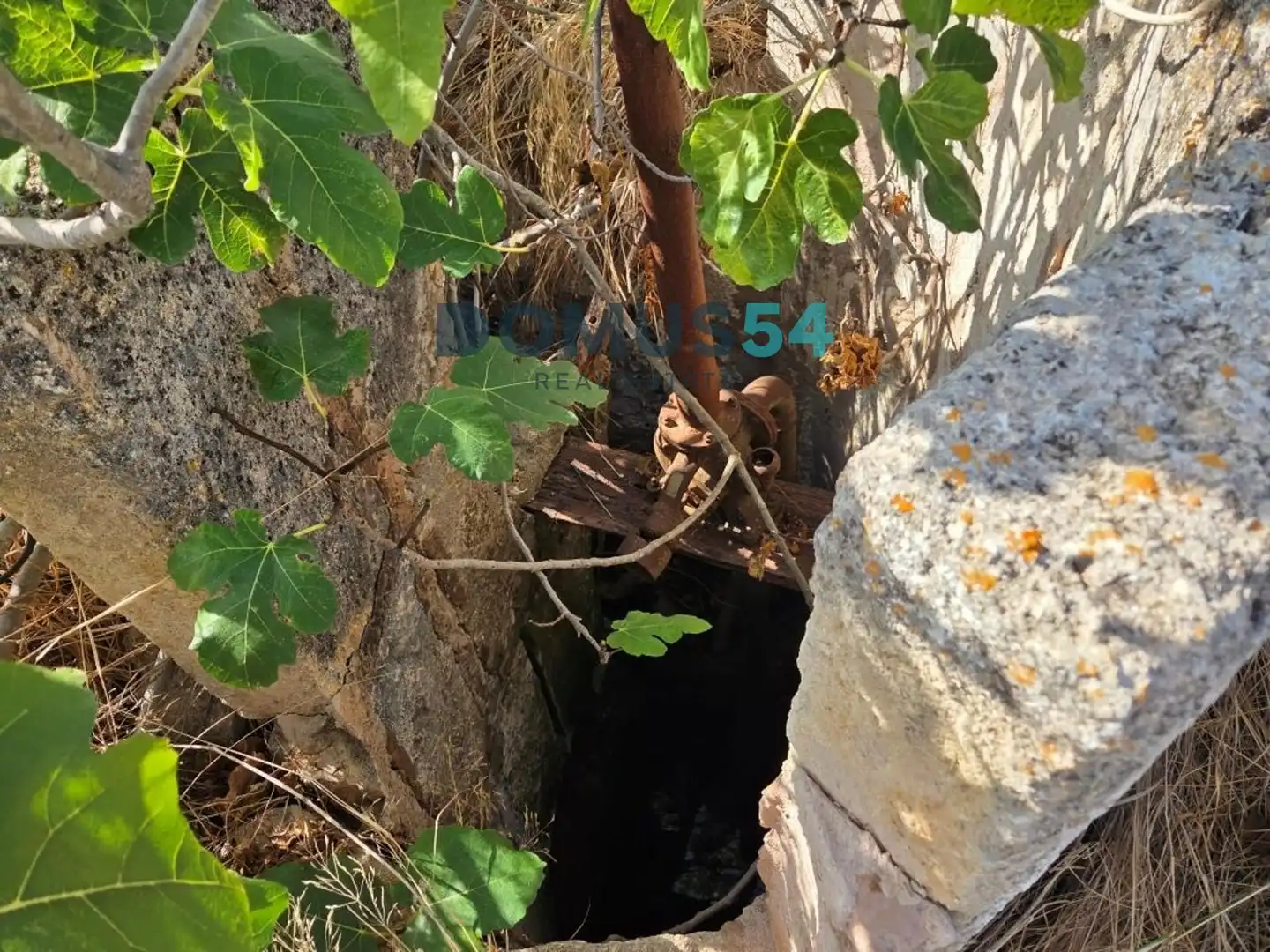 Terreny rústic en venda a Sa Pobla, imagen 5