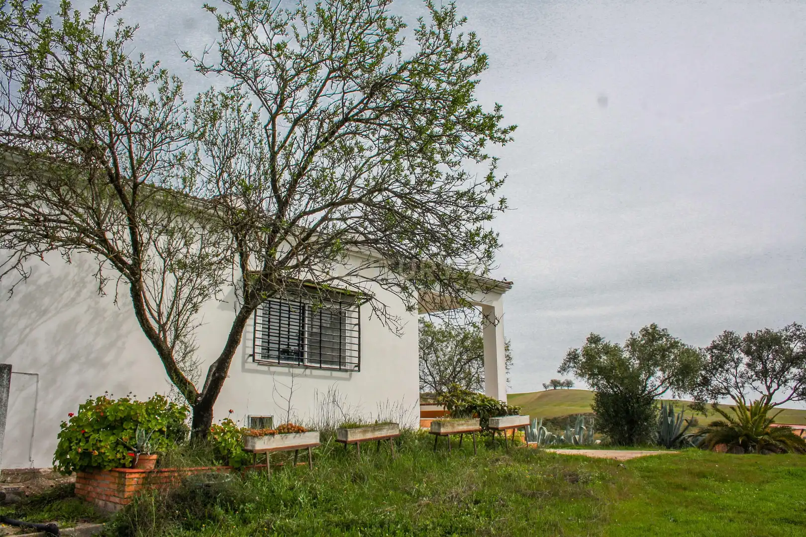 Exterior view of Land for sale in Azuaga