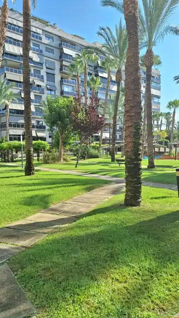 Piso de alquiler en Avenida Historiador Vicente Ramos, Playa de San Juan