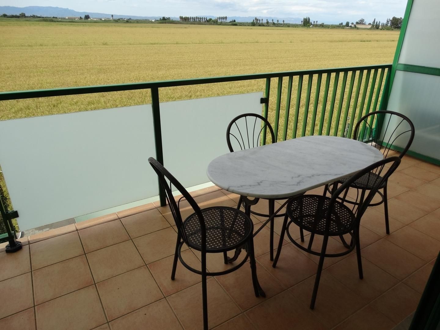 Terrassa de Apartament en venda en Amposta amb Terrassa