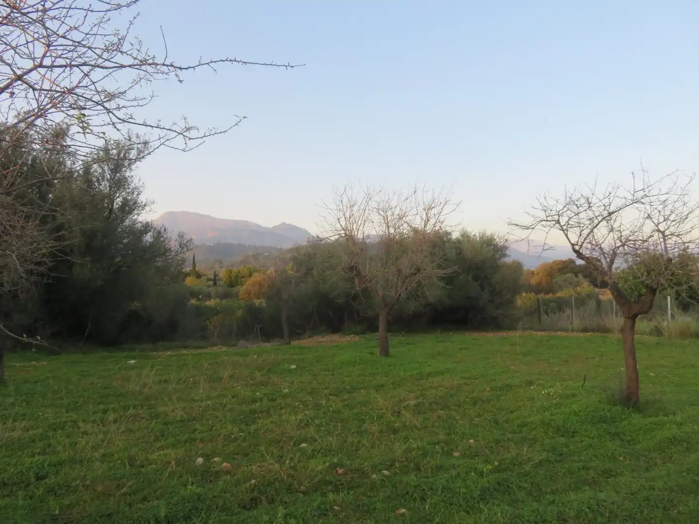 Terreny rústic en venda a Selva, imagen 3