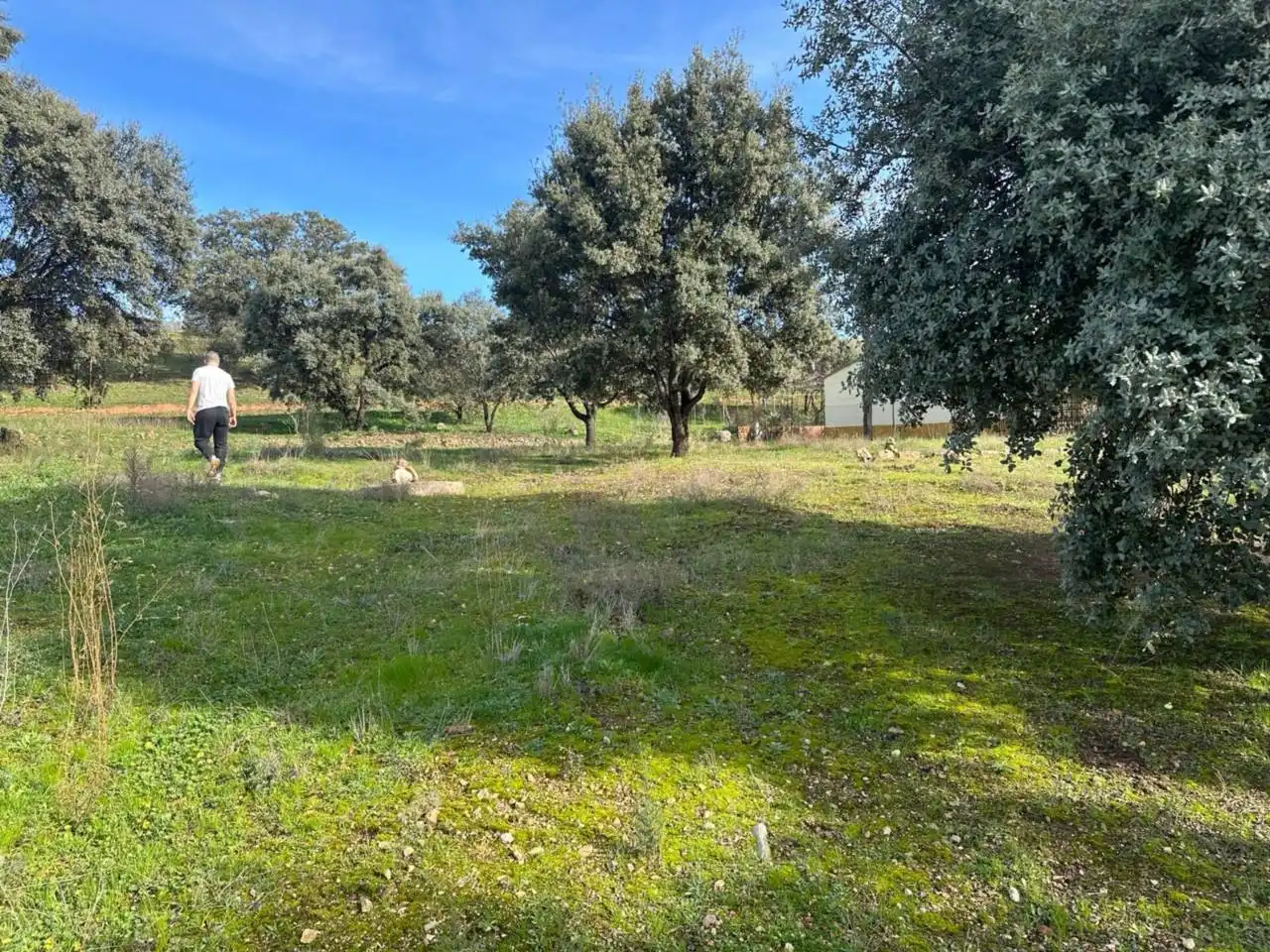 Residencial en venta en Puertollano
