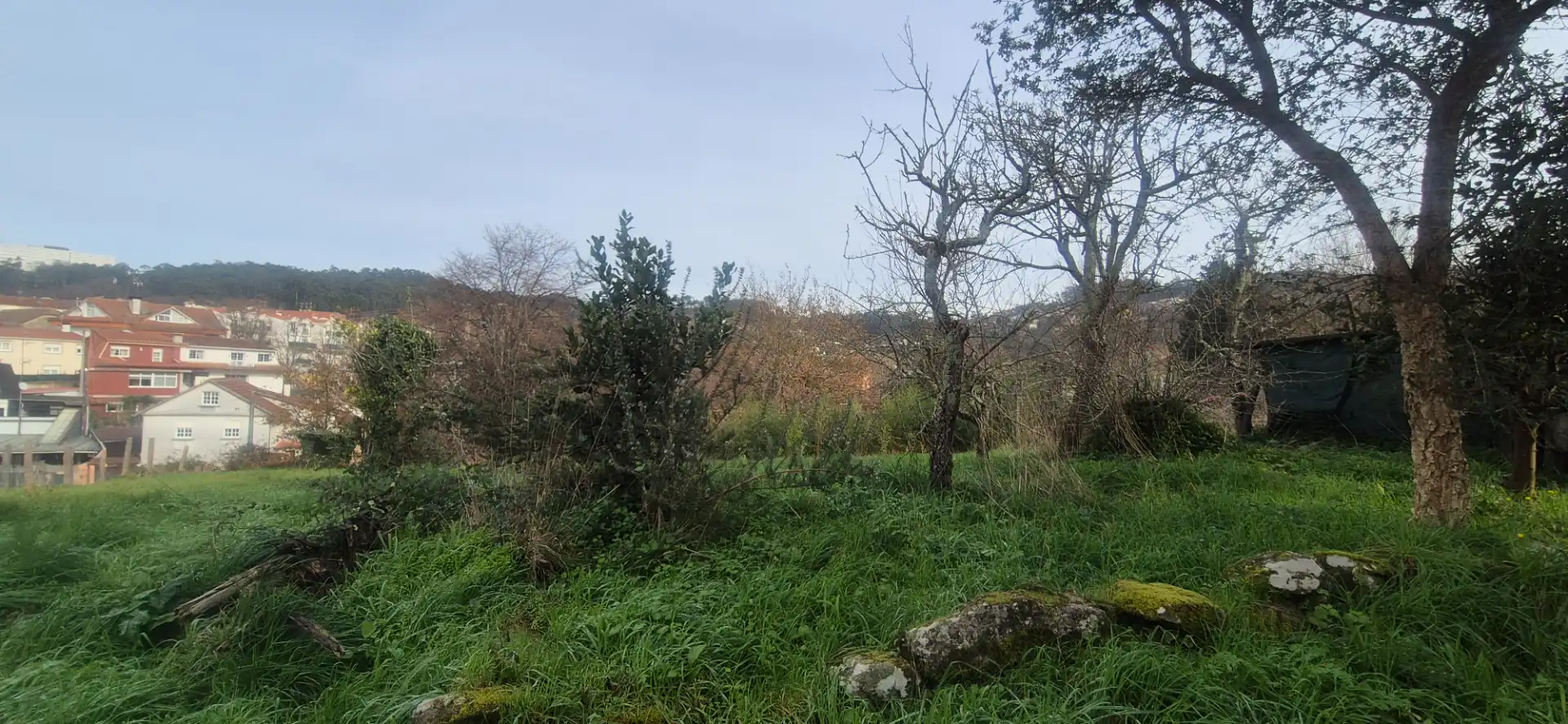 Terreno residencial en venta en Estrada de Bembrive, imagen 15