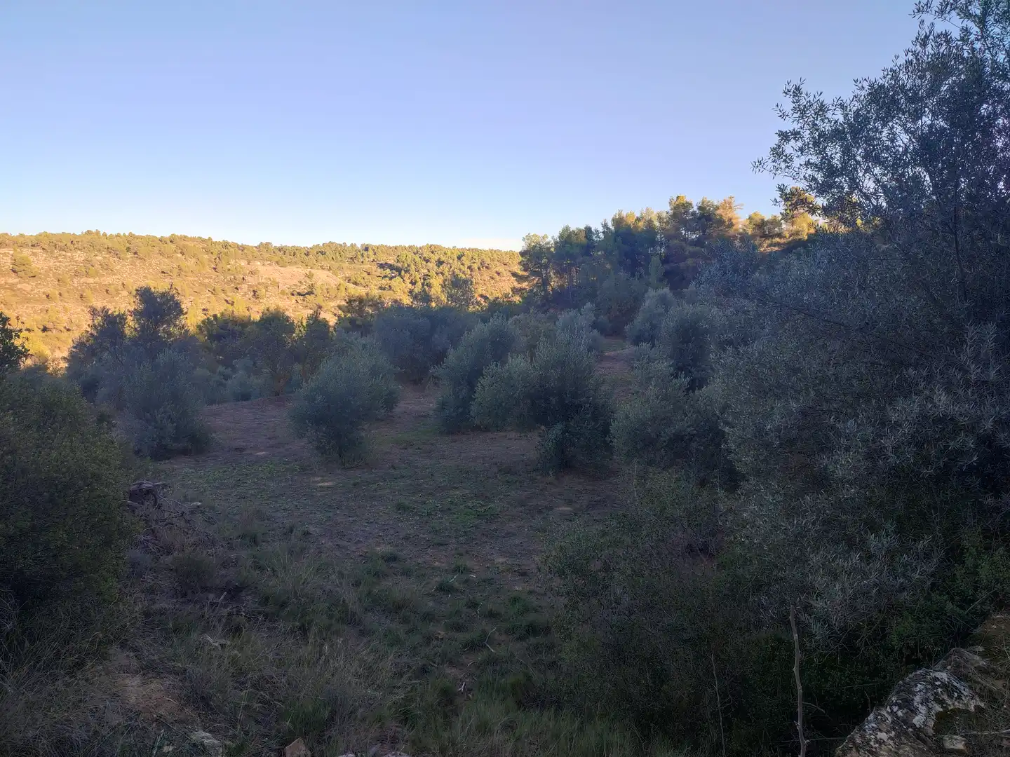 Terreno rústico en venta en L'Albagés, imagen 28