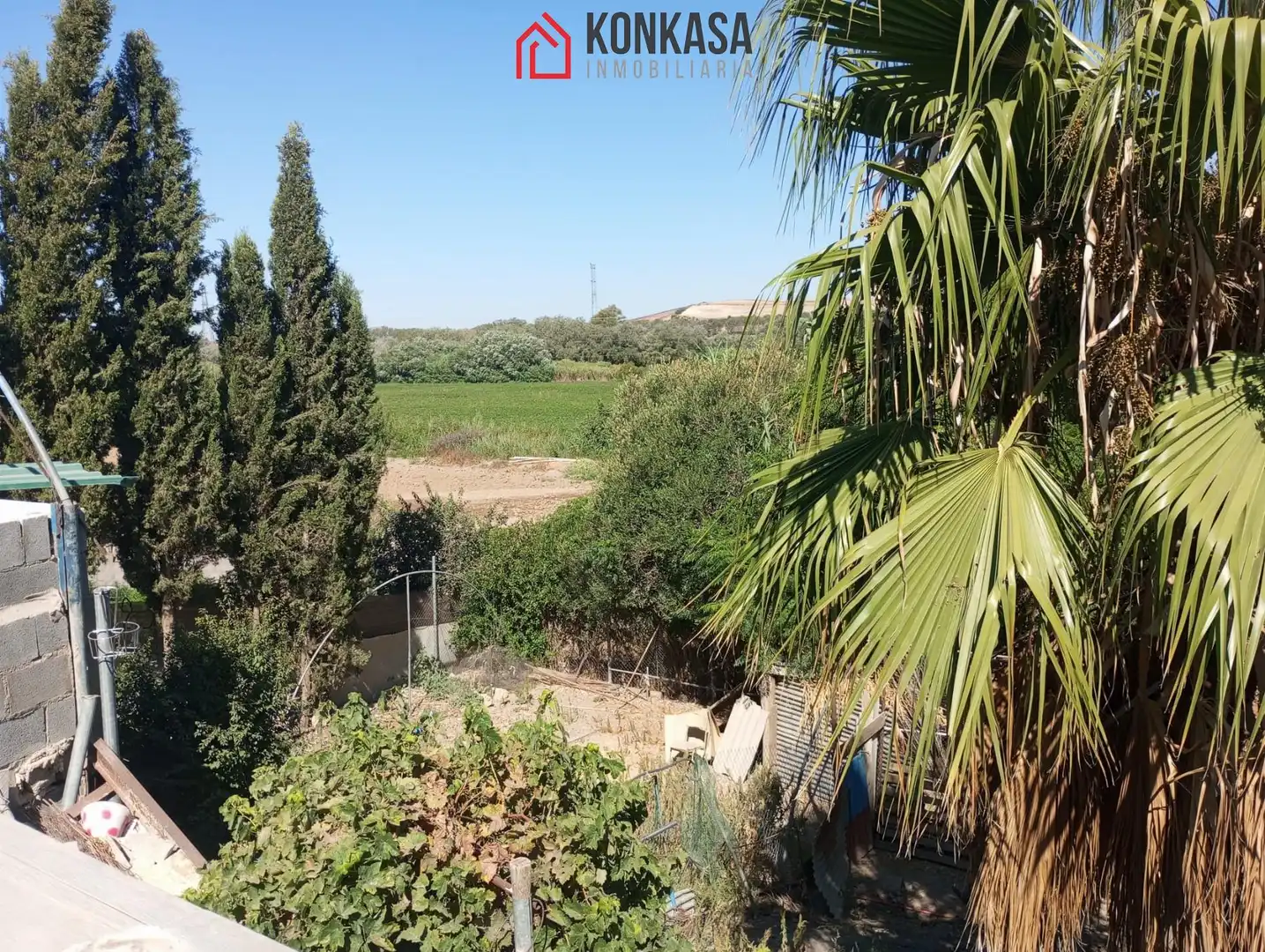Maison avec piscine à vendre à Arcos de la Frontera, imagen 3