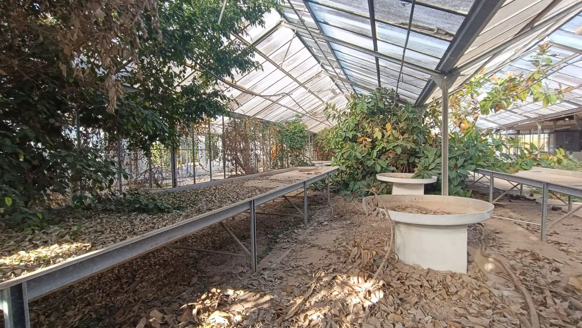 Jardín de Residencial en venta en Camarles