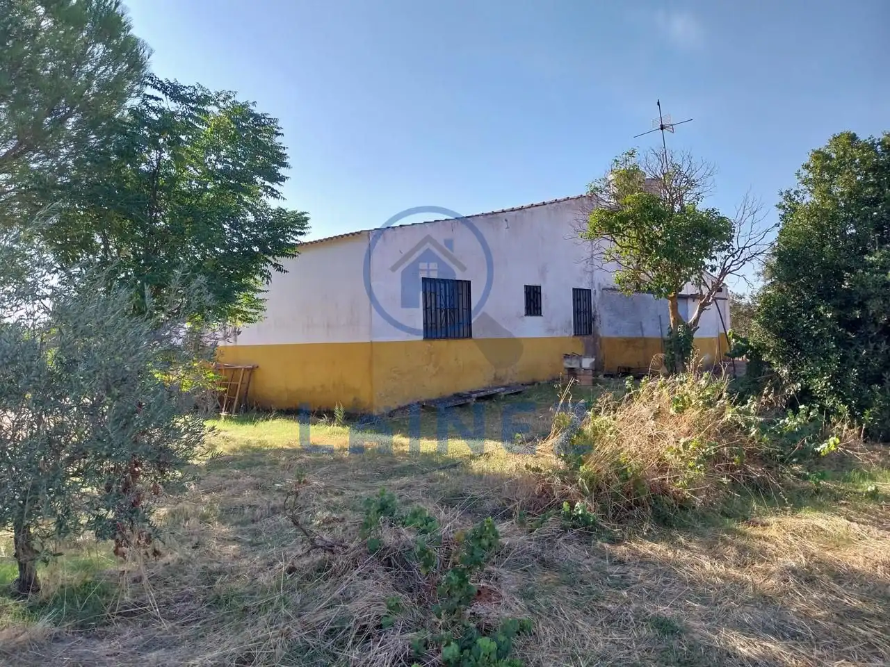 Terreny rústic en venda a Hinojosa del Duque, imagen 2