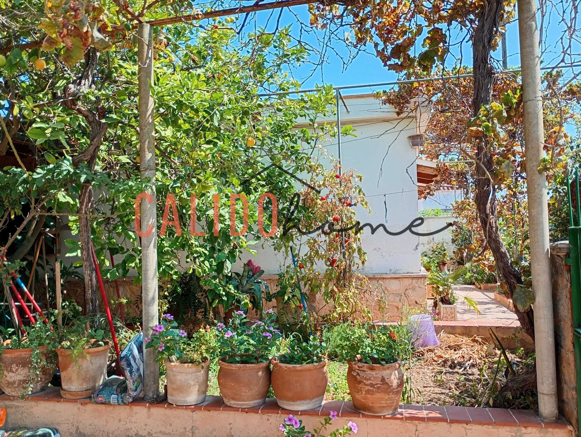 Casa o xalet en venda a Establiments