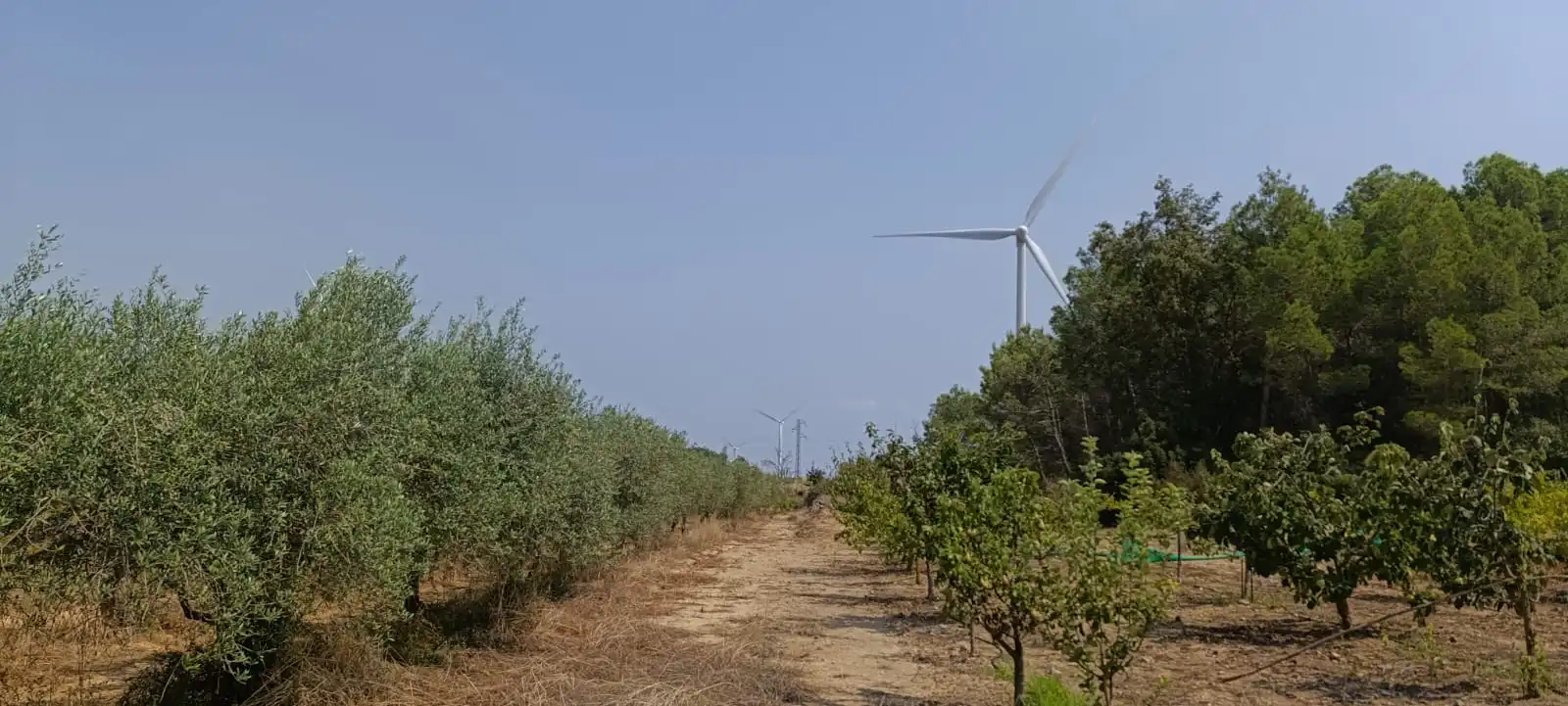 Residencial en venda en Vilalba dels Arcs