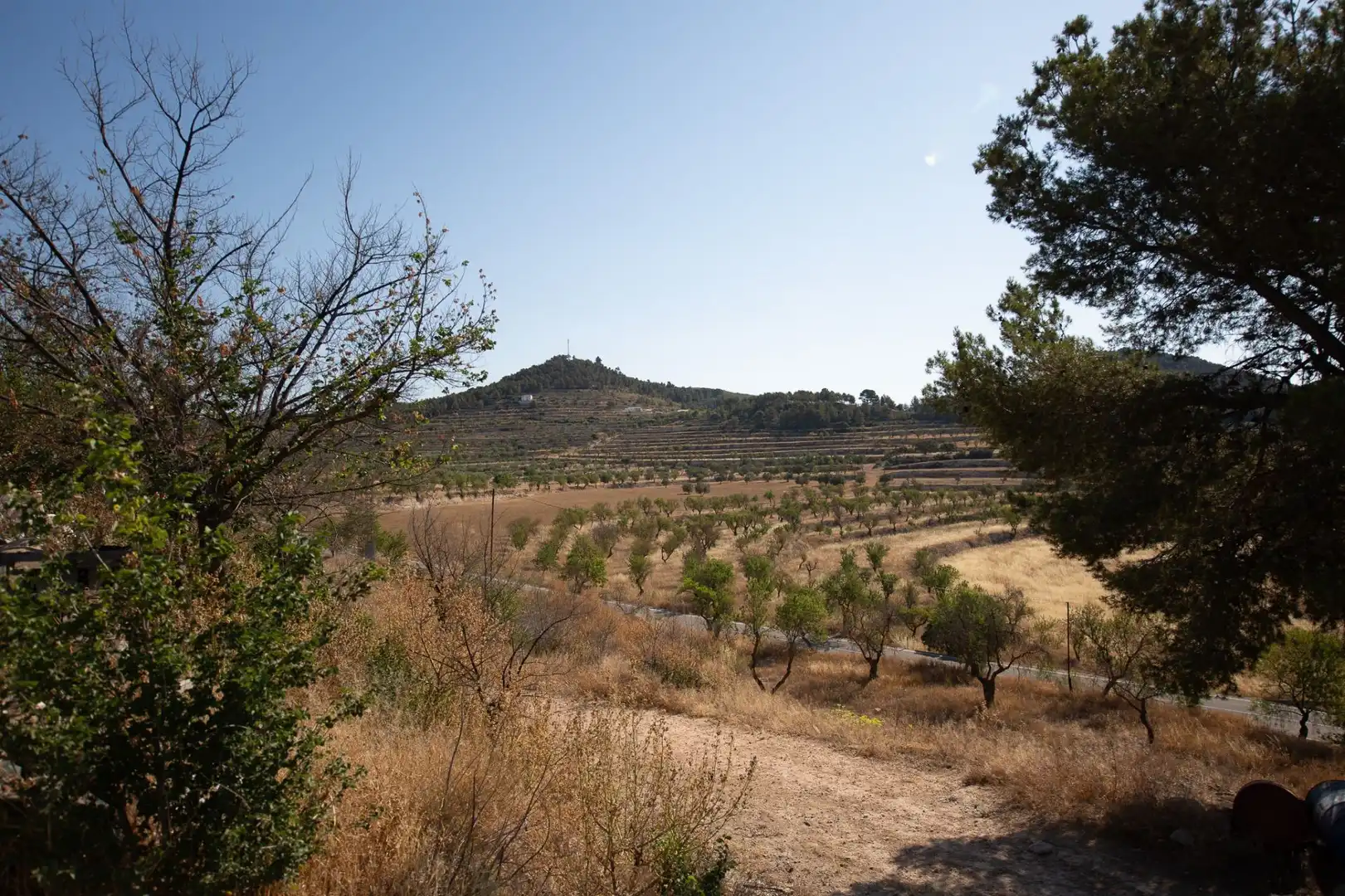 Casa rústica con jardín en venta en Torremanzanas / La Torre de les Maçanes, imagen 22