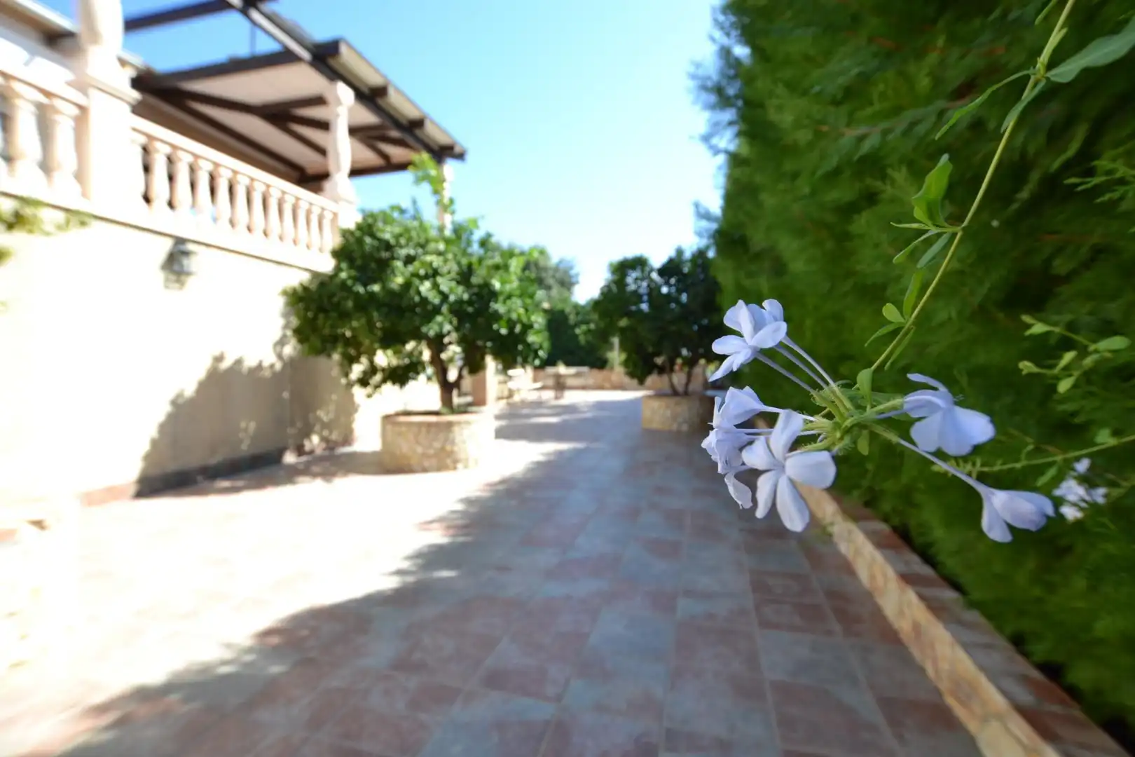 Villa con piscina in vendita a Calle Calle Santa Ana de la Albaida, imagen 45