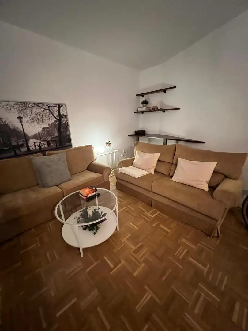 Sala de estar de Piso de alquiler en Sevilla con Aire acondicionado y Amueblado