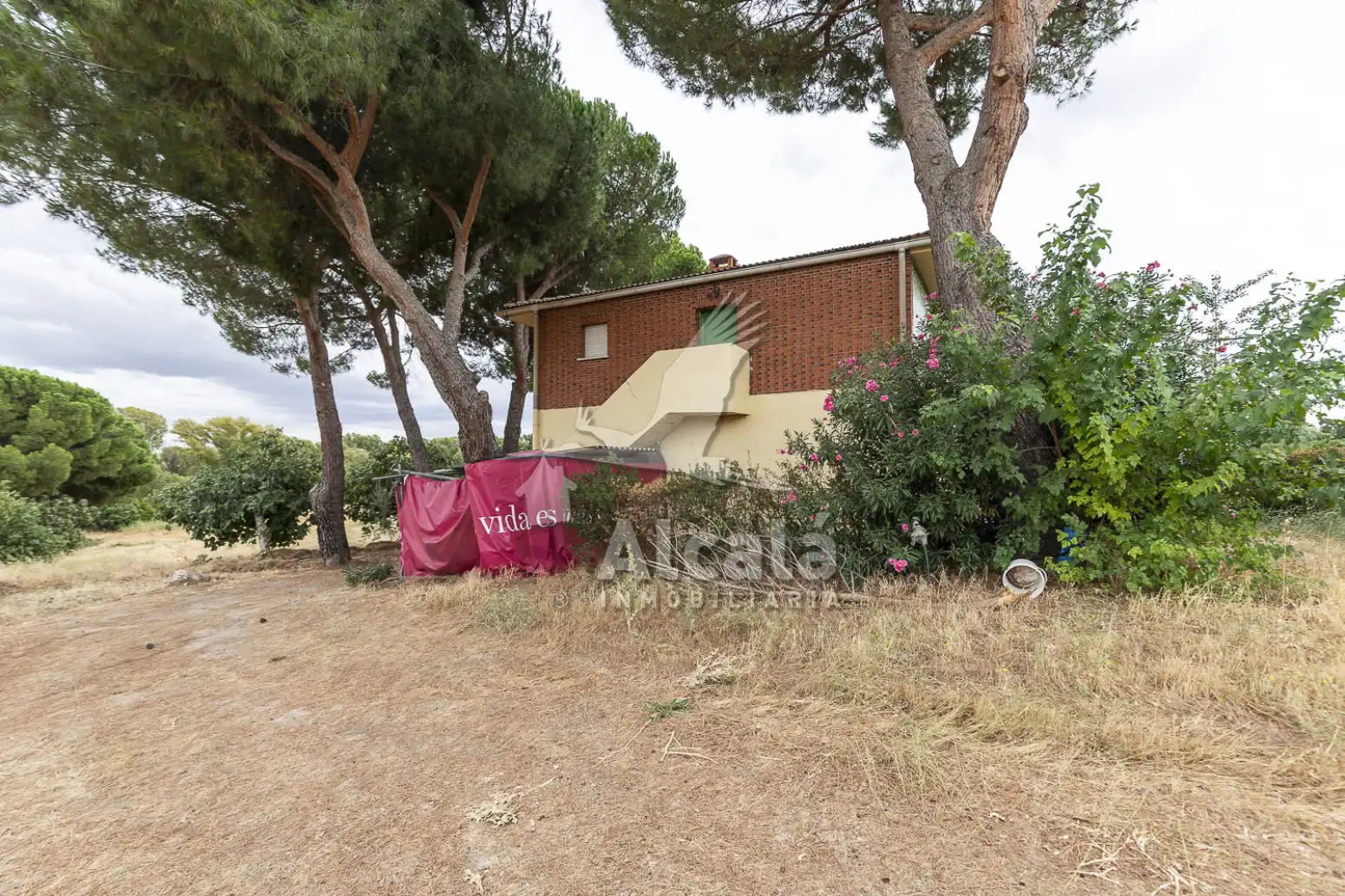 Haus oder Chalet zum Verkauf in El Molar (Madrid) mit Schwimmbad