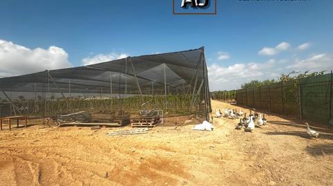 Foto 4 von Grundstücke zur Miete in Avenida de Los Alcázares, Torre-Pacheco ciudad, Torre-Pacheco