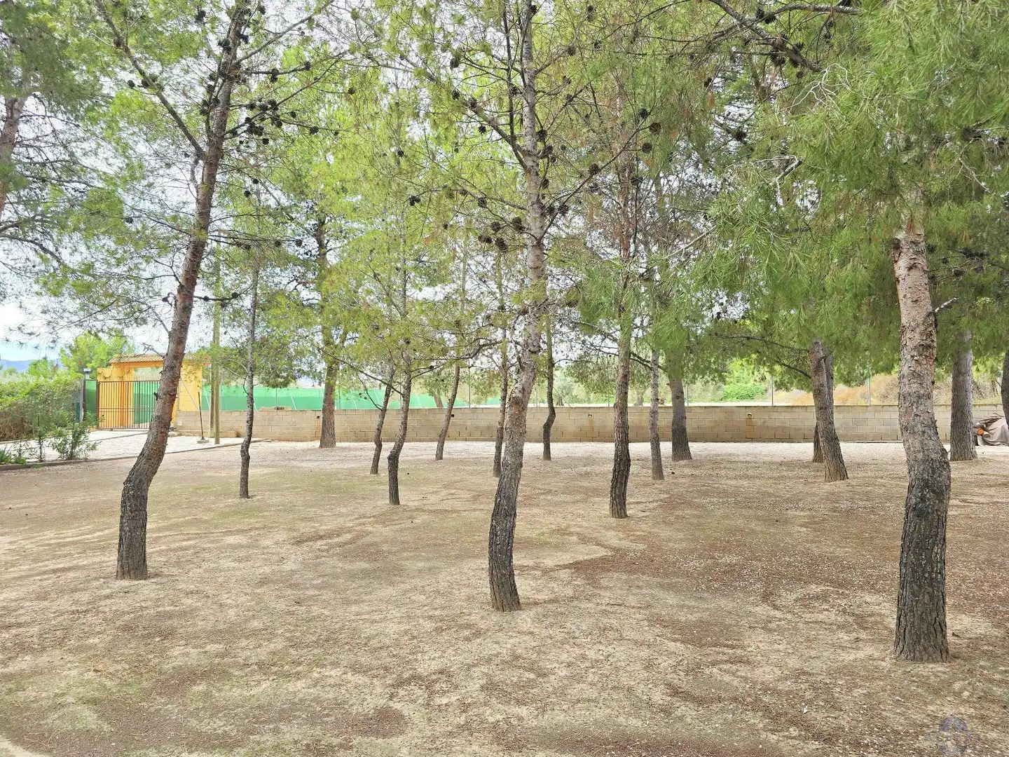 Villa in vendita a Campo Alto - Club de Campo, imagen 14